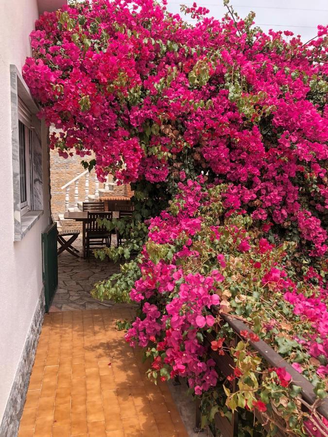 Bed and Breakfast Lagun Santo Isidoro Esterno foto